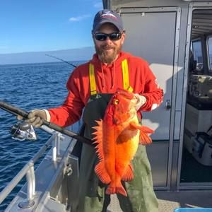 Meet your Posher, Mitchell